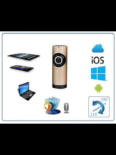 Видеоняня /WiFi видеокамера панорамная с DVR (fish_G), HD)