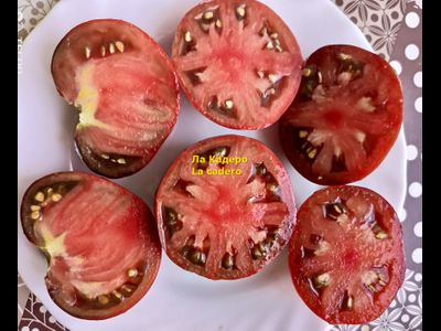 Томат Ла Кадеро (La Cadero)