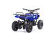 Квадроцикл MOTAX ATV X-16 1000W