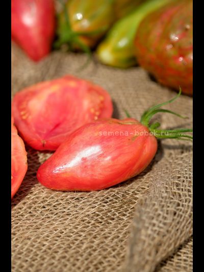 Томат Полосатый Тюльпан, 5 шт