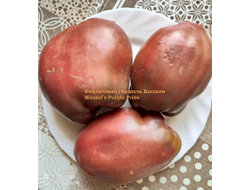 Томат Фиолетовая гордость Весселя (Wessel's Purple Pride)