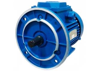 Электродвигатель АИР 100L4 (4 кВт)