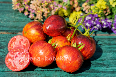 Томат Гаргамель (Gargamel), 10 шт