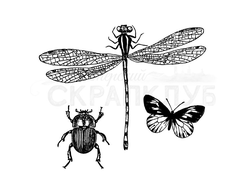 Бабочки, стрекозы и жуки