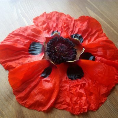 "Лепесток мака" Силиконовый молд (вайнер)