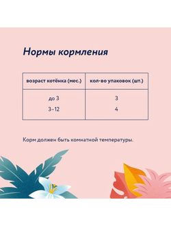 Florida (Флорида) влажный корм (пауч) для котят, кусочки с индейкой и тыквой в желе 85 г