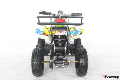 Квадроцикл GreenCamel Гоби K21 (12 Ah 36V 800W R6 Цепь) Граффити