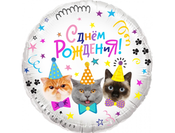 Шар Круг, Котики, С Днем Рождения