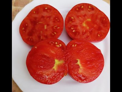 Томат Буйная красотка (Lovely lush,  Прекрасный пышный)