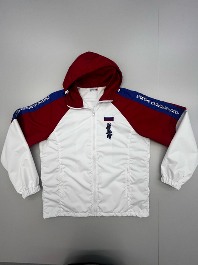 Костюм спортивный триколор