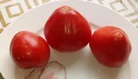 Заилийский Алатау
