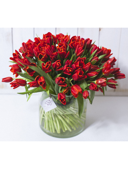 Букет 79 красных тюльпанов с лентами