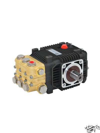 Помпа BM 15.25 N  (без регулятора и манометра)