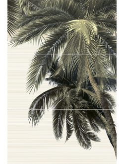 ДЕЛЬ МАРЕ ПАННО ПАЛЬМА ПН9ДМ2