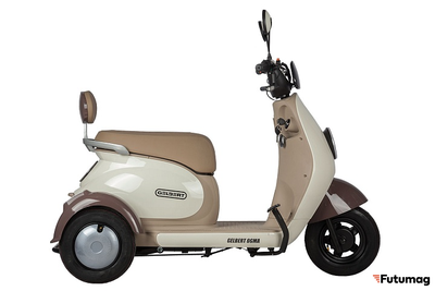 Электротрицикл Rutrike Gelbert Ogma 48V/60V 650Вт бело-коричневый