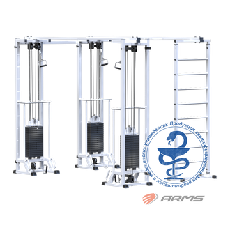 Биотонус-3+шведская стенка (стек 3х75кг) AR087.3х2400