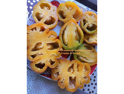 Томат Огненный гребень (охра) (Cresta di Fuoko)