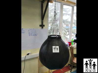 Боксерская груша DNN "Шар". Размер: 50 х 50 см Вес: 40 кг