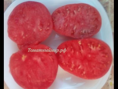 Томат Гордость Грайтмара (Grightmire's Pride) США