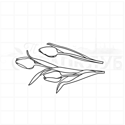 ФП штамп "Букет тюльпанов" бол.