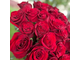 25 красных роз