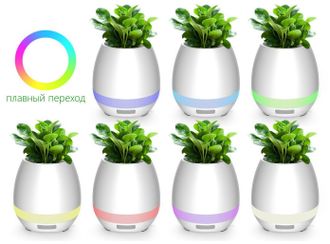 Умный музыкальный горшок для цветов SMART MUSIC FLOWERPOT