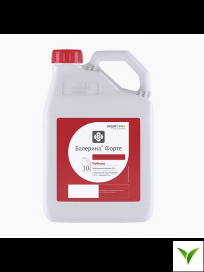 Балерина Форте СЭ 10 л