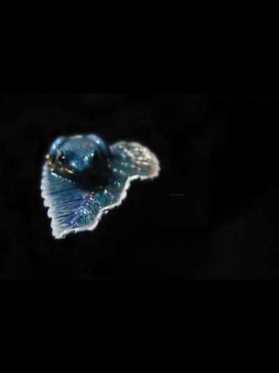 Фэнтези-кольцо с волшебной лягушкой "Пролетая над гнездом чудесниц..."