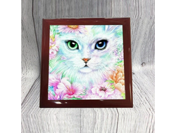 Шкатулка Котики №10