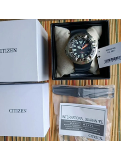 Наручные часы Citizen BJ8050-08E