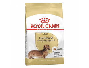royal canin dachshund adult