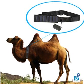 X-Pet T500 GPS-ошейник для крупных животных с солнечными панелями для зарядки аккумулятораr