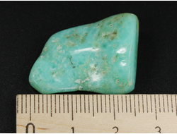 Хризопраз, полировка плоская, Австралия (31*22*9 мм, 5 г) №35678