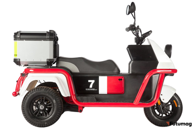 Электротрицикл Wanshida DOUHAO 60V 800Вт черно-бело-красный