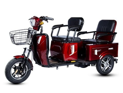 E-trike Pass&Cargo