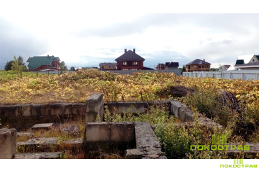 Через 14 дней 