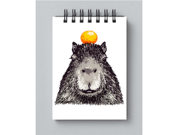 Блокнот Капибара, Kapibara-san №25