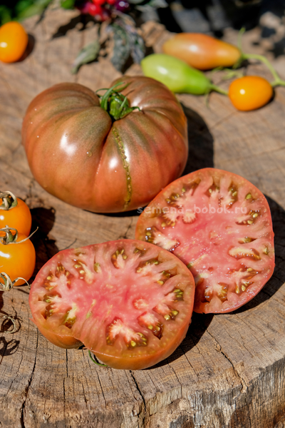 Томат Черное с Носиком от Борисовны, 10 шт