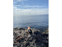 Духи НОТА: ЖЕНСКИЕ ОБЪЯТИЯ, 3.5 мл