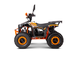 Квадроцикл YACOTA SIRIUS 110