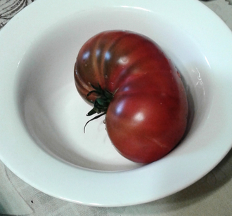 Семена томата Дикий Фред Гном