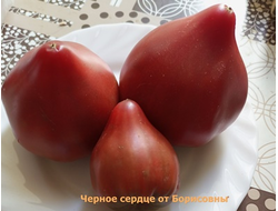 Томат Черное сердце с носиком от Борисовны (усл)