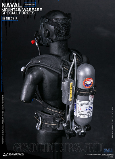 Коллекционная фигурка 1/6 NAVAL MOUNTAIN WARFARE SPECIAL FORCES (78051) - DAMTOYS