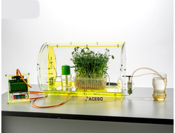 Переносной комплект «Чудо-грядка»