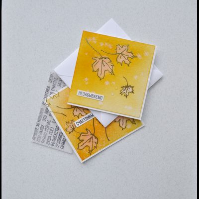 ФП  штамп "Надписи в альбом"