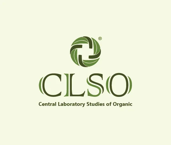 Разаботка дизайна, полиграфии, печать, портфолио