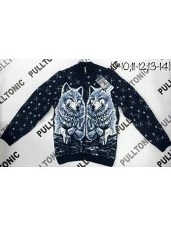 Подростковый свитер на молнии Волки 06
