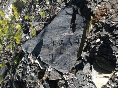 Амфиболит глыба