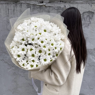 Ромашки для любимых