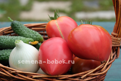 Томат Японка , 10 шт